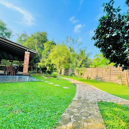 Green Cottage Anuradhapura Esterno foto