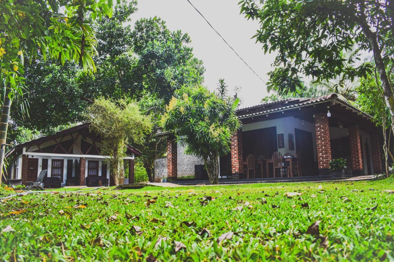 Green Cottage Anuradhapura Esterno foto