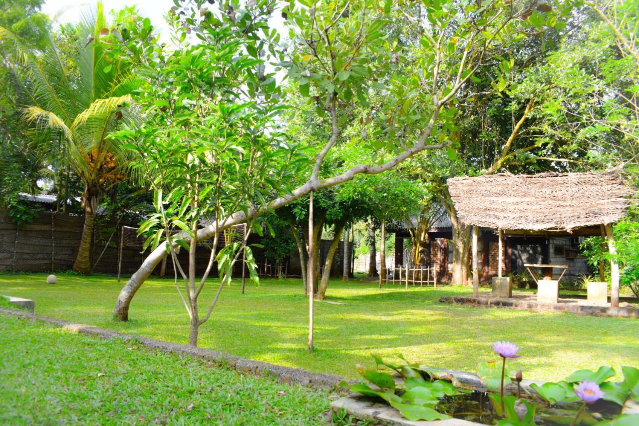 Green Cottage Anuradhapura Esterno foto