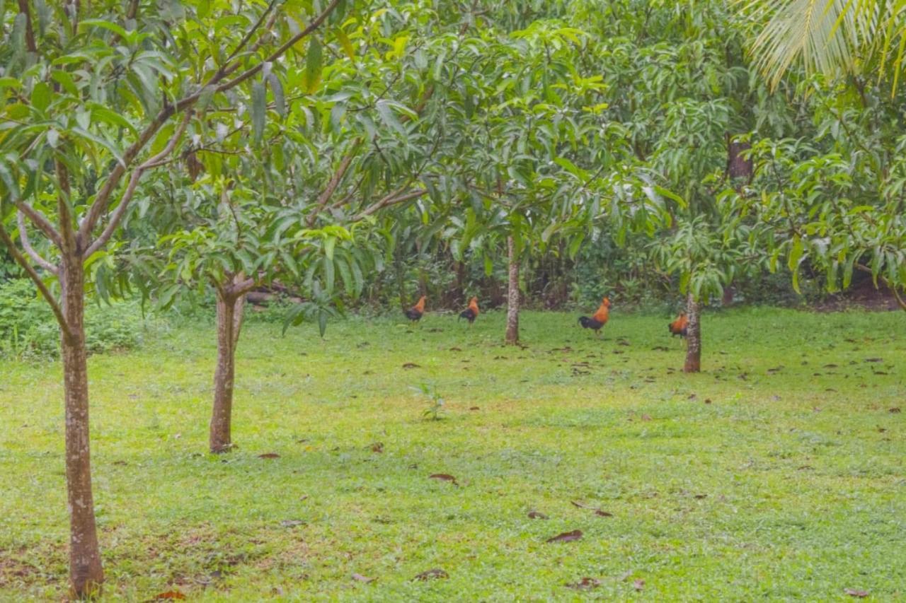 Green Cottage Anuradhapura Esterno foto