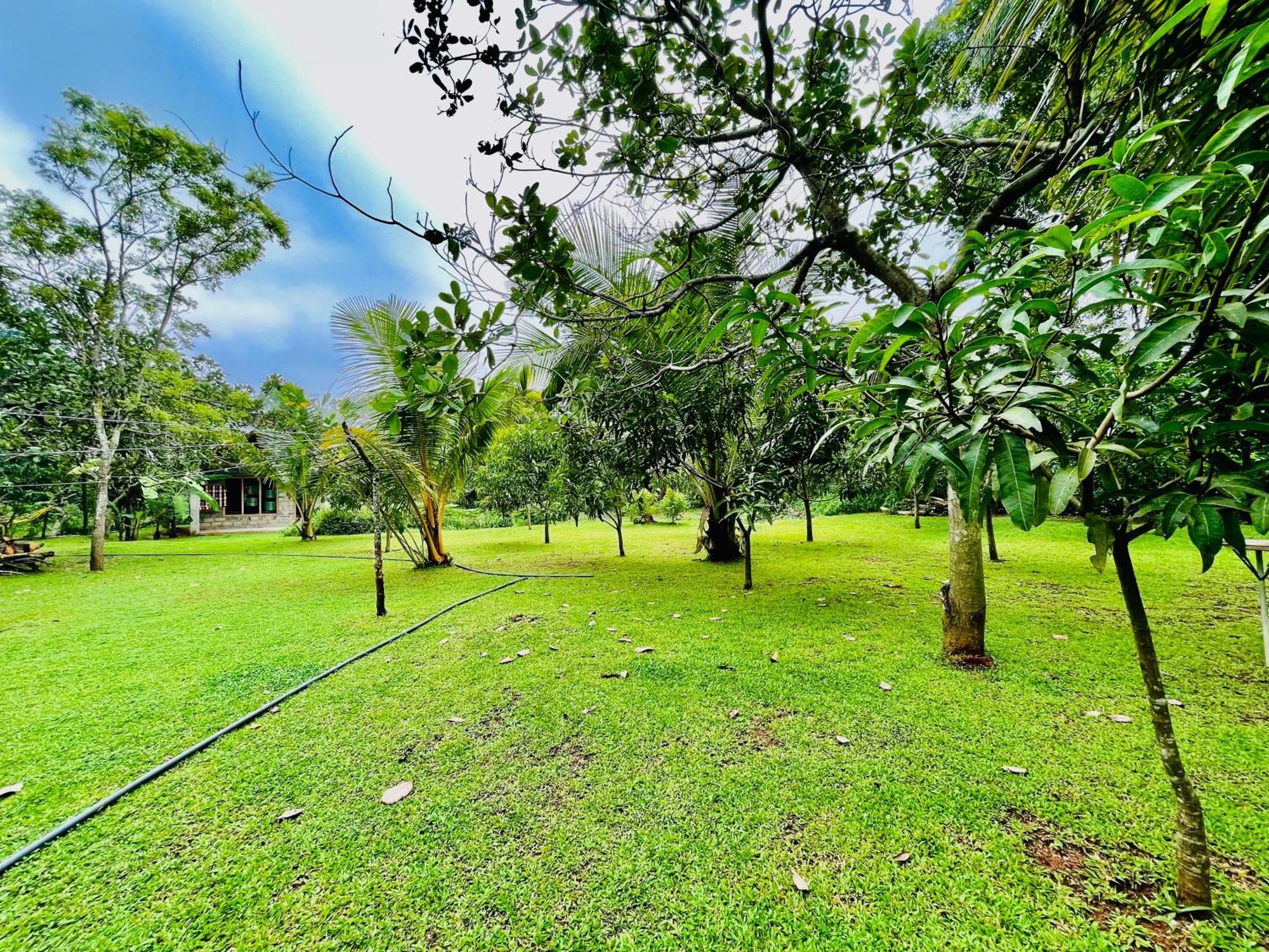Green Cottage Anuradhapura Esterno foto
